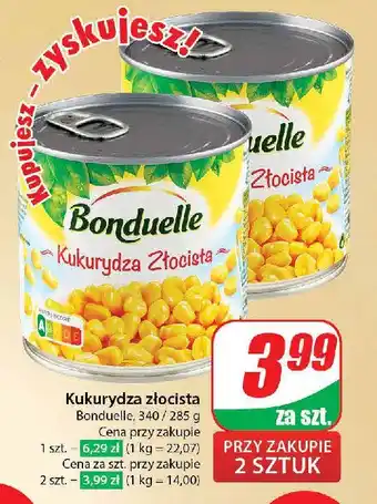 Dino Kukurydza złocista Bonduelle oferta