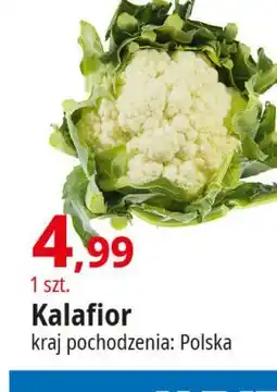 E.Leclerc Kalafior oferta