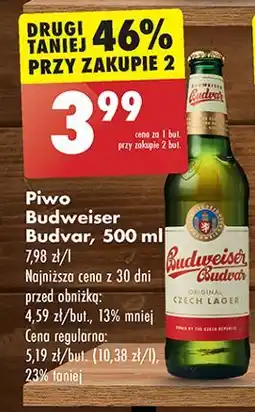Biedronka Piwo Budweiser oferta