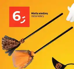 Dealz Miotła wiedźmy oferta