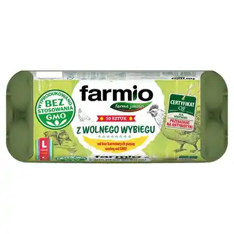 Dino Farmio Jaja z wolnego wybiegu od kur karmionych paszą wolną od GMO L 10 sztuk oferta