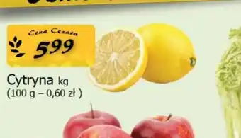 Cezar Delikatesy Cytryna oferta