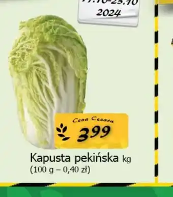 Cezar Delikatesy Kapusta pekińska oferta