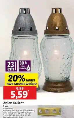 Lidl Znicz kalia oferta