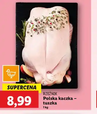 Lidl Polska kaczkatuszka oferta