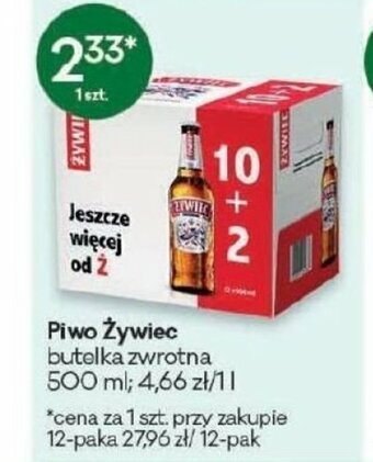 Groszek Piwo Żywiec 500ml oferta