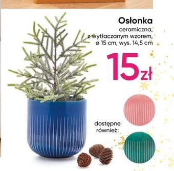 Pepco Osłonka oferta