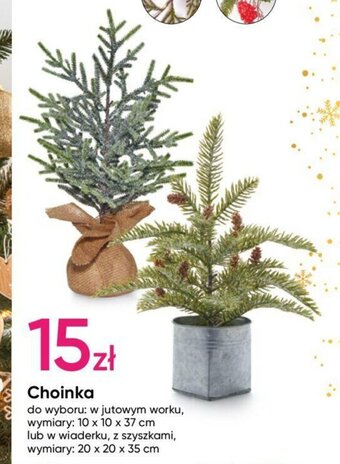 Pepco Choinka oferta