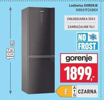 Neopunkt Lodówka Gorenje NRK6192ABK4 oferta