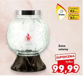 Kaufland Znicz solarny oferta