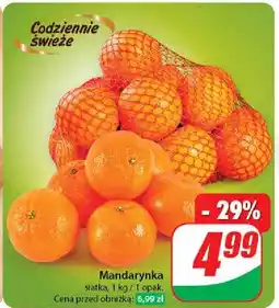 Dino Mandarynki oferta