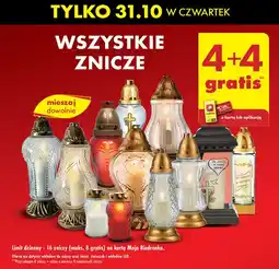Biedronka Znicze oferta