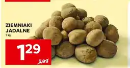 Stokrotka Ziemniaki jadalne oferta