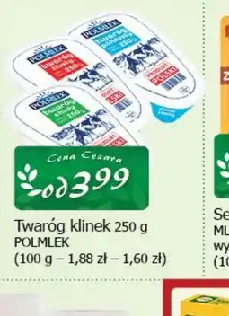 Cezar Delikatesy Twaróg klinek PXMLEK oferta