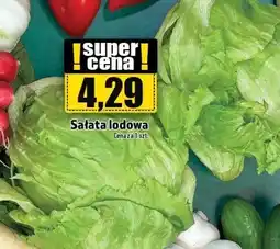 Topaz Sałata lodowa oferta