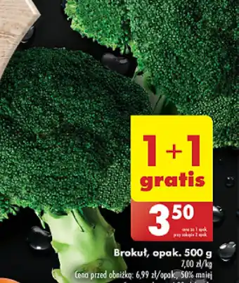 Biedronka Brokuł, opak. 500 g oferta