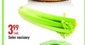 Stokrotka Seler naciowy 1 SZT oferta