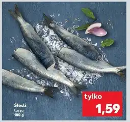 Kaufland Śledz tusza oferta