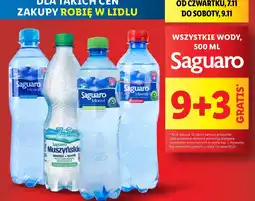 Lidl Woda śrenio gazowana Saguaro Muszyńskie oferta