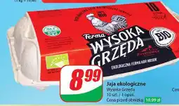 Dino Jaja bio Ferma Wysoka Grzęda oferta