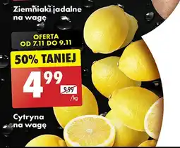 Biedronka Cytryny oferta