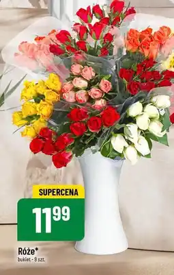 Polomarket Róże oferta