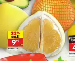 Pomelo