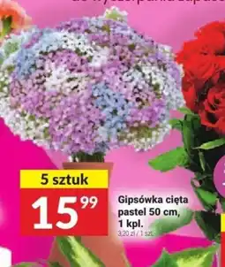 Twój Market Gipsówka cięta pastel oferta