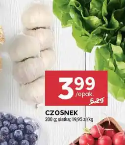 Stokrotka Czosnek oferta