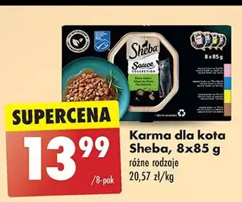 Biedronka Karma dla kota mix Sheba Sauce Collection oferta