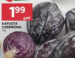 Stokrotka Market Kapusta czerwona oferta