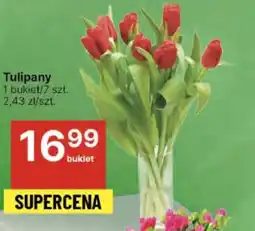 Delikatesy Centrum Tulipany oferta