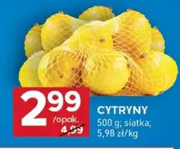 Stokrotka Optima Cytryny oferta