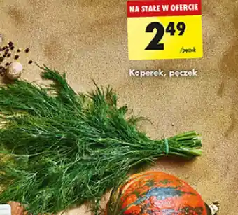 Biedronka Koperek, pęczek oferta