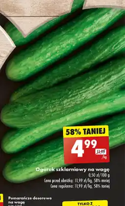 Biedronka Ogórek szklarniowy oferta
