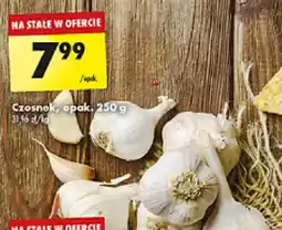 Biedronka Czosnek oferta