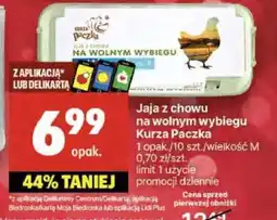 Delikatesy Centrum Jaja z chowu na wolnym wybiegu Kurza Paczka oferta