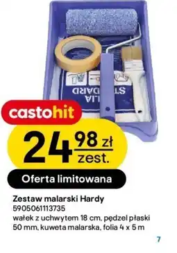Castorama Zestaw malarski Hardy oferta