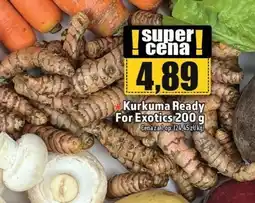 Kurkuma Ready For Exotics