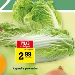 Gram Market Kapusta pekińska oferta