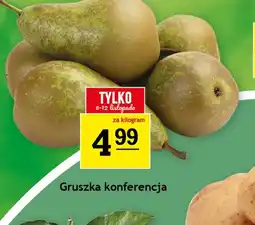 Gruszka konferencja