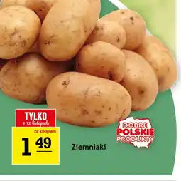 Gram Market Ziemniaki oferta