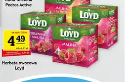 Gram Market Herbata owocowa Loyd oferta