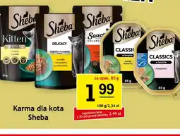 Gram Market Karma dla kota Sheba oferta