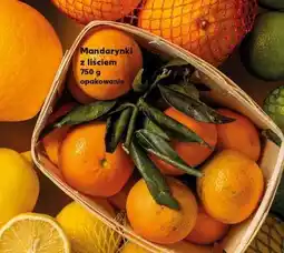 Kaufland Mandarynki z liśćmi oferta