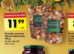 Biedronka Grzyby suszone Nasza Spiżarnia oferta