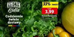 Lidl Sałata batawska oferta