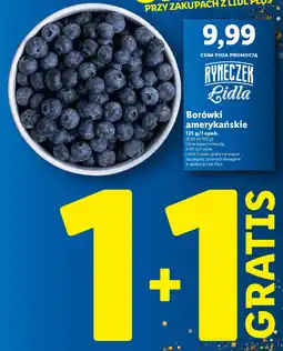 Lidl Borówki amerykańskie oferta