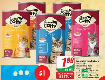 Dino Karma dla kota z wołowiną Sweet Catty oferta