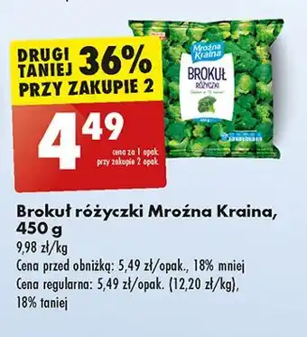 Biedronka Brokuły Mroźna Kraina oferta